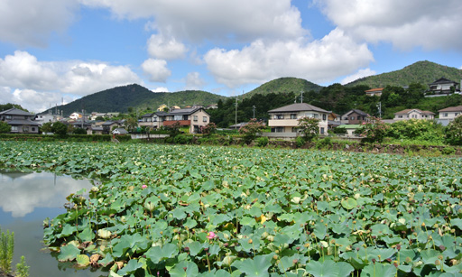 f:id:ichi2012:20150910101600j:image f:id:ichi2012:20150910101600j:image
