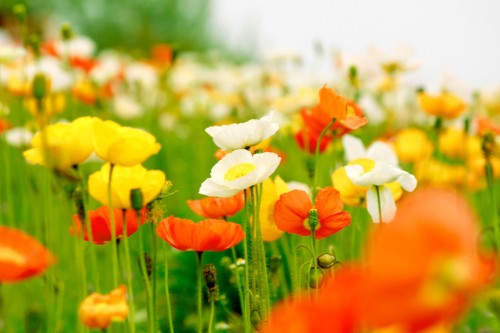 f:id:ichi23super:20170118184305j:plain f:id:ichi23super:20170118184305j:plain