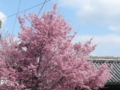 20100311144841
