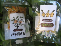 f:id:ichi375:20101012100953j:image f:id:ichi375:20101012100953j:image
