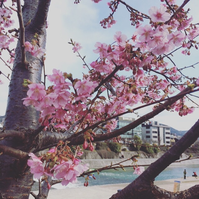 f:id:ichi375:20160224083142j:image