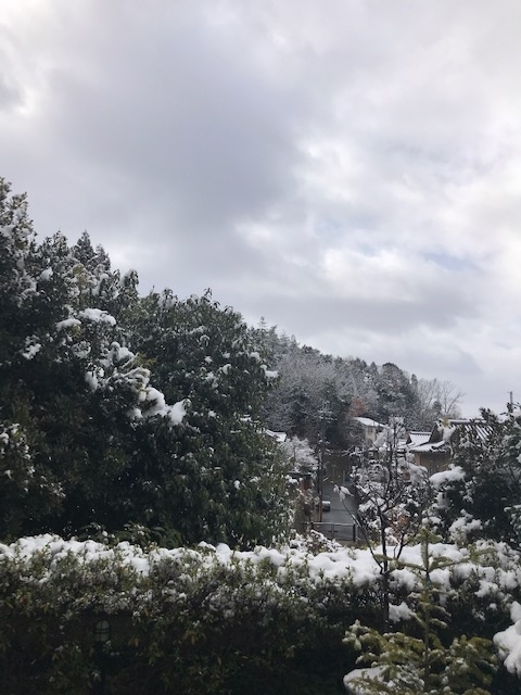 f:id:ichi375:20181229104108j:image