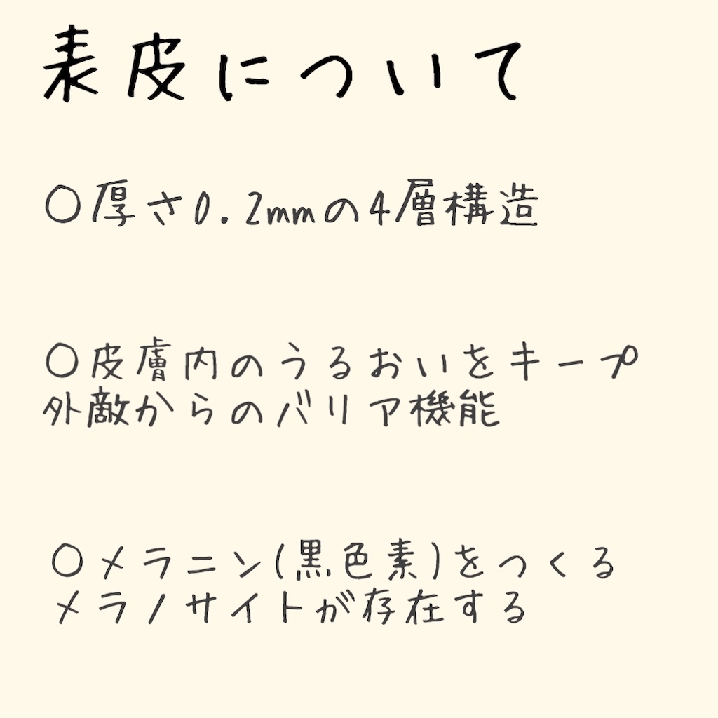 f:id:ichiYM:20210806110604j:image