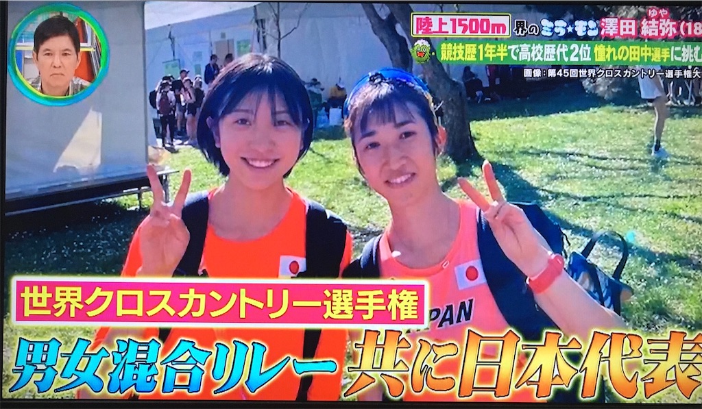f:id:ichiashi:20240602165702j:image