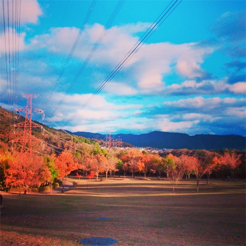 f:id:ichico-sun:20171205004249j:image f:id:ichico-sun:20171205004249j:image