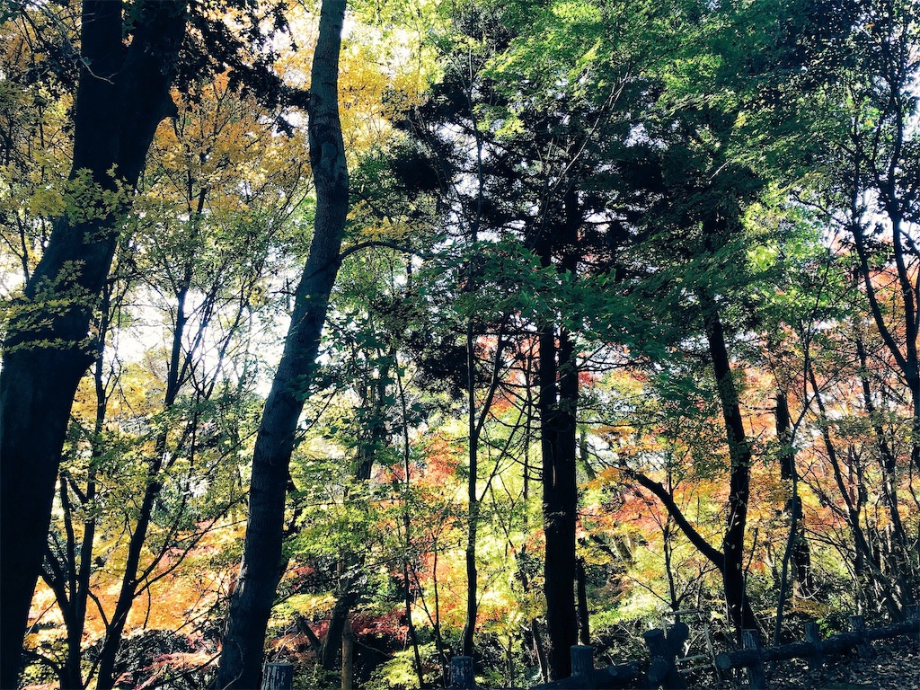 f:id:ichico-sun:20171206001916j:image f:id:ichico-sun:20171206001916j:image
