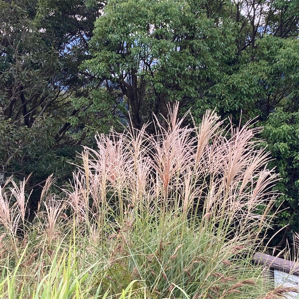 f:id:ichieda:20200920112656j:image