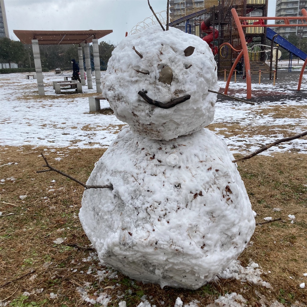 f:id:ichieda:20210109212757j:image