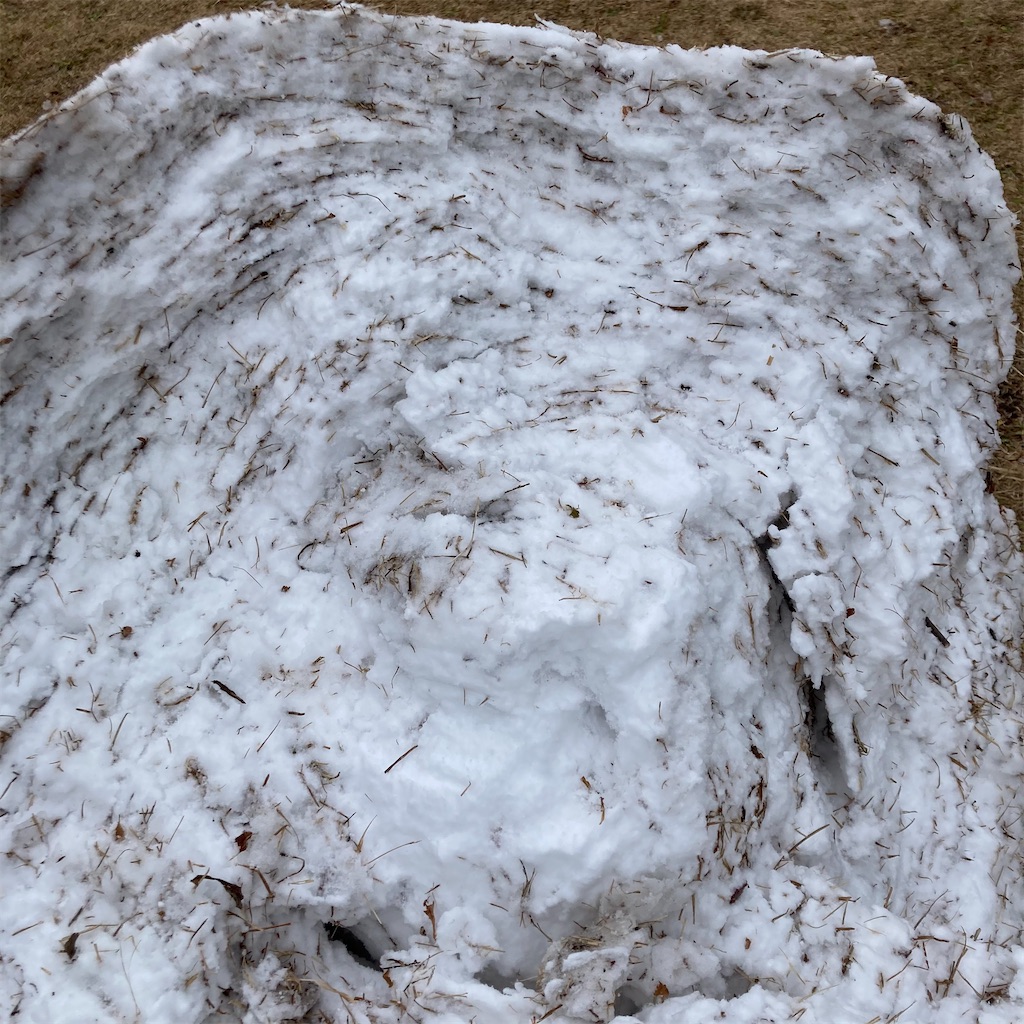 f:id:ichieda:20210109212905j:image