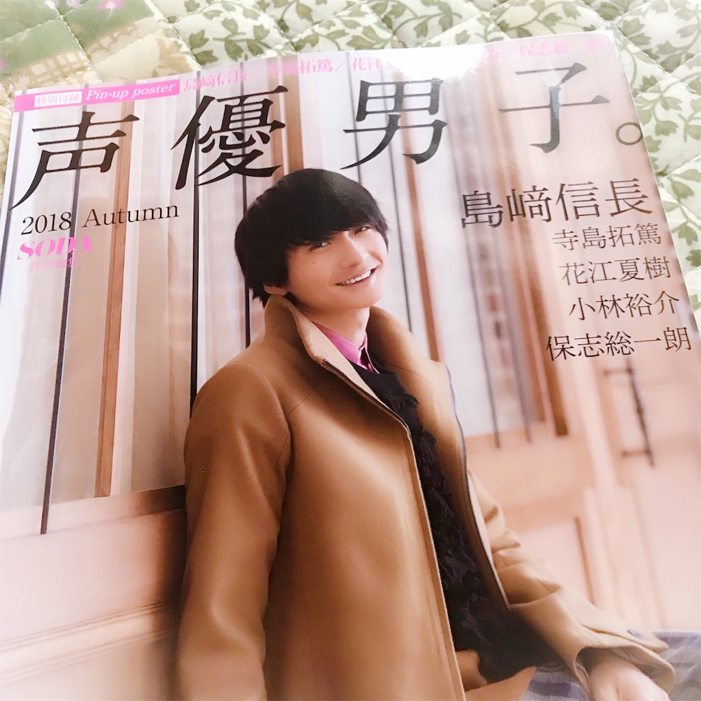 f:id:ichigo0sky:20181003153230j:plain