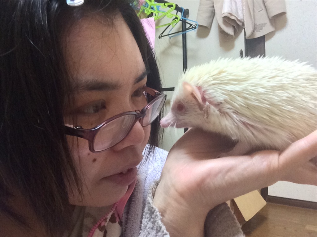 f:id:ichigo10banira:20170325130045j:image f:id:ichigo10banira:20170325130045j:image