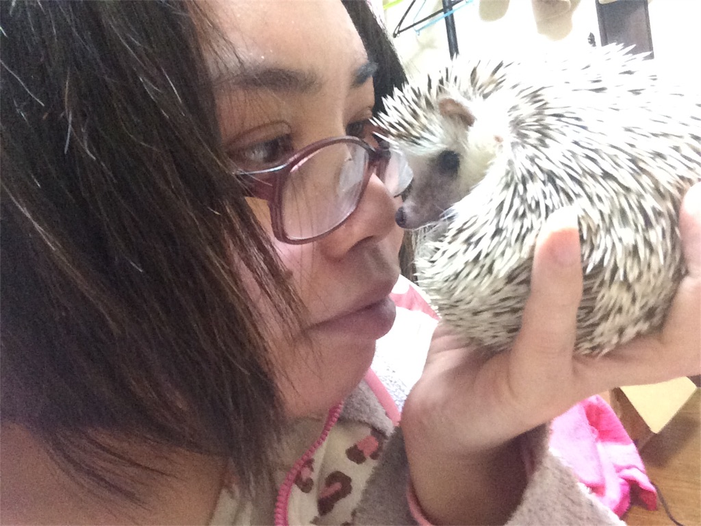 f:id:ichigo10banira:20170325130103j:image f:id:ichigo10banira:20170325130103j:image