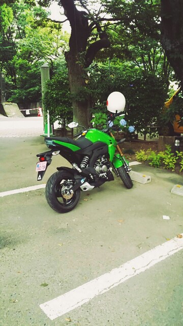 f:id:ichigo2015:20160619212824j:image f:id:ichigo2015:20160619212824j:image