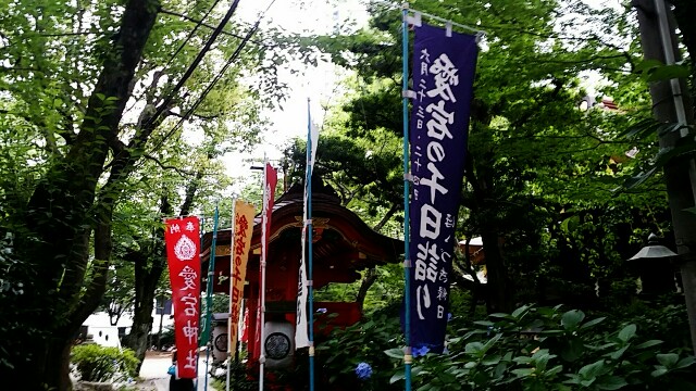 f:id:ichigo2015:20160619213215j:image f:id:ichigo2015:20160619213215j:image