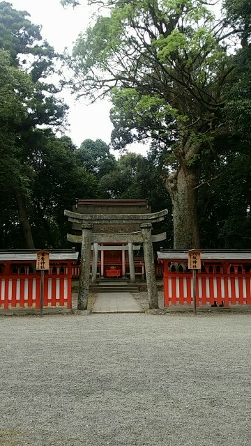 f:id:ichigo2015:20160815164718j:image