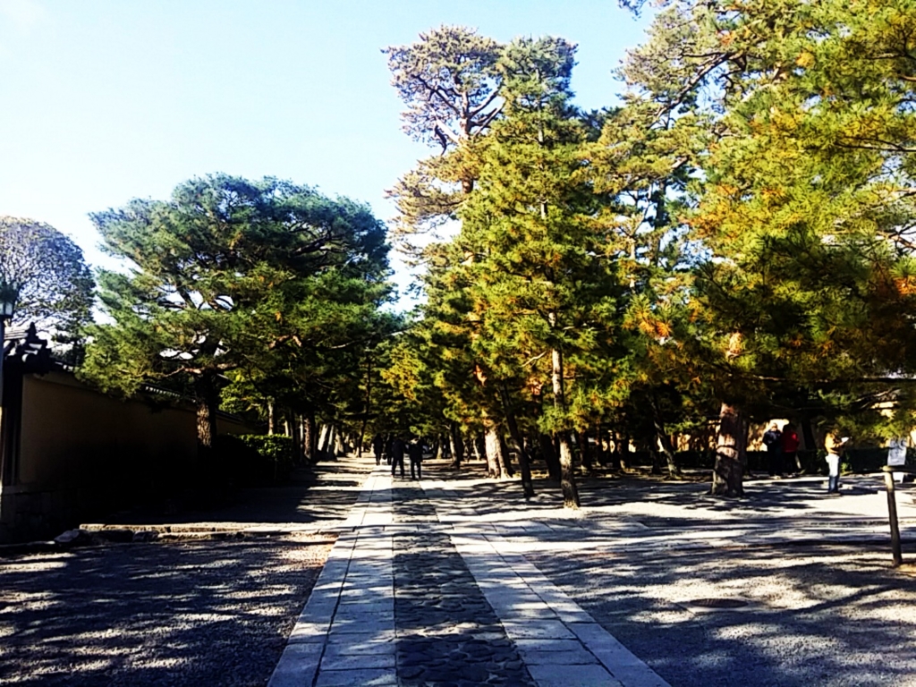 f:id:ichigo2015:20161125221759j:plain f:id:ichigo2015:20161125221759j:plain