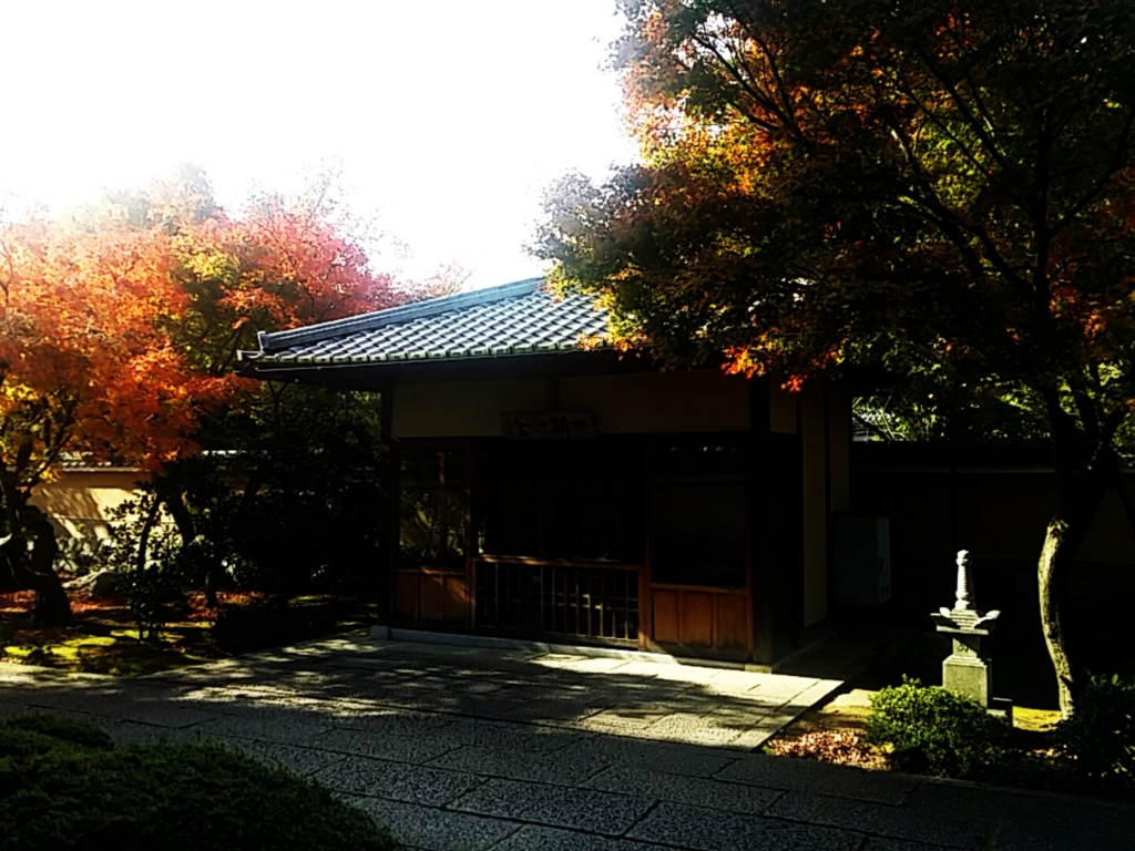 f:id:ichigo2015:20161125221834j:plain f:id:ichigo2015:20161125221834j:plain
