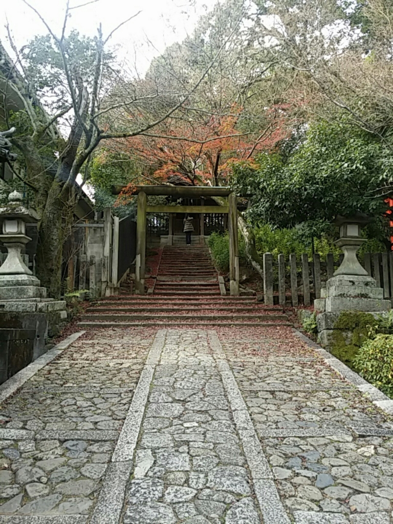 f:id:ichigo2015:20161127213605j:plain f:id:ichigo2015:20161127213605j:plain