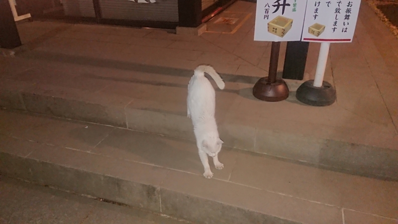 f:id:ichigo2015:20210307200748j:plain