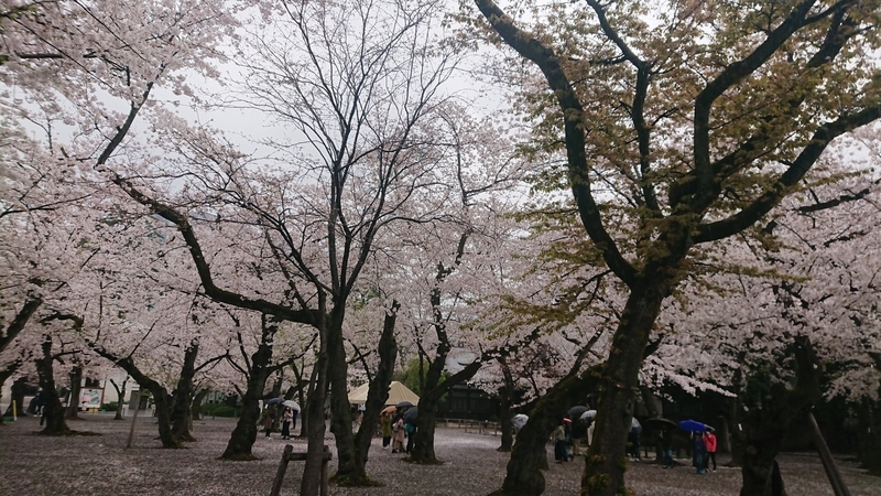 f:id:ichigo2015:20210328155637j:plain