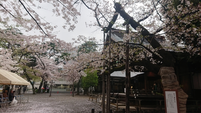 f:id:ichigo2015:20210328155814j:plain