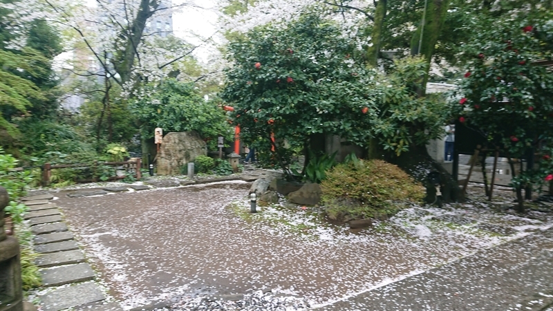 f:id:ichigo2015:20210328164500j:plain
