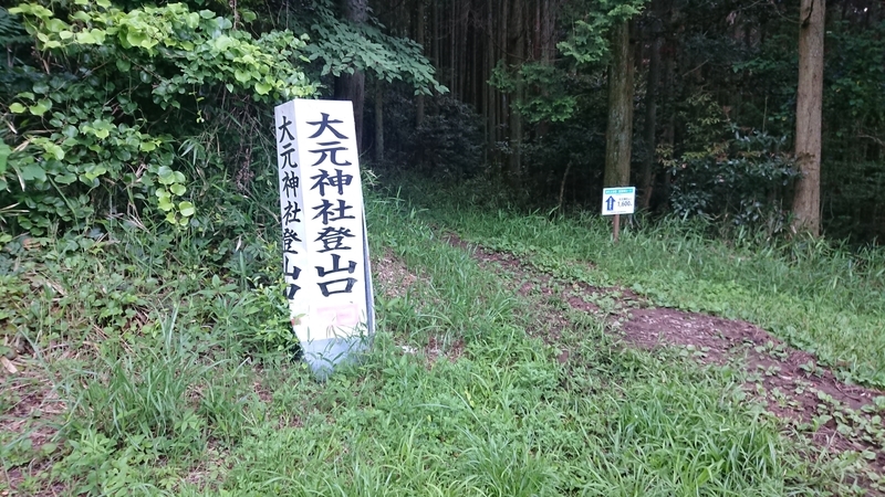 f:id:ichigo2015:20210530224906j:plain