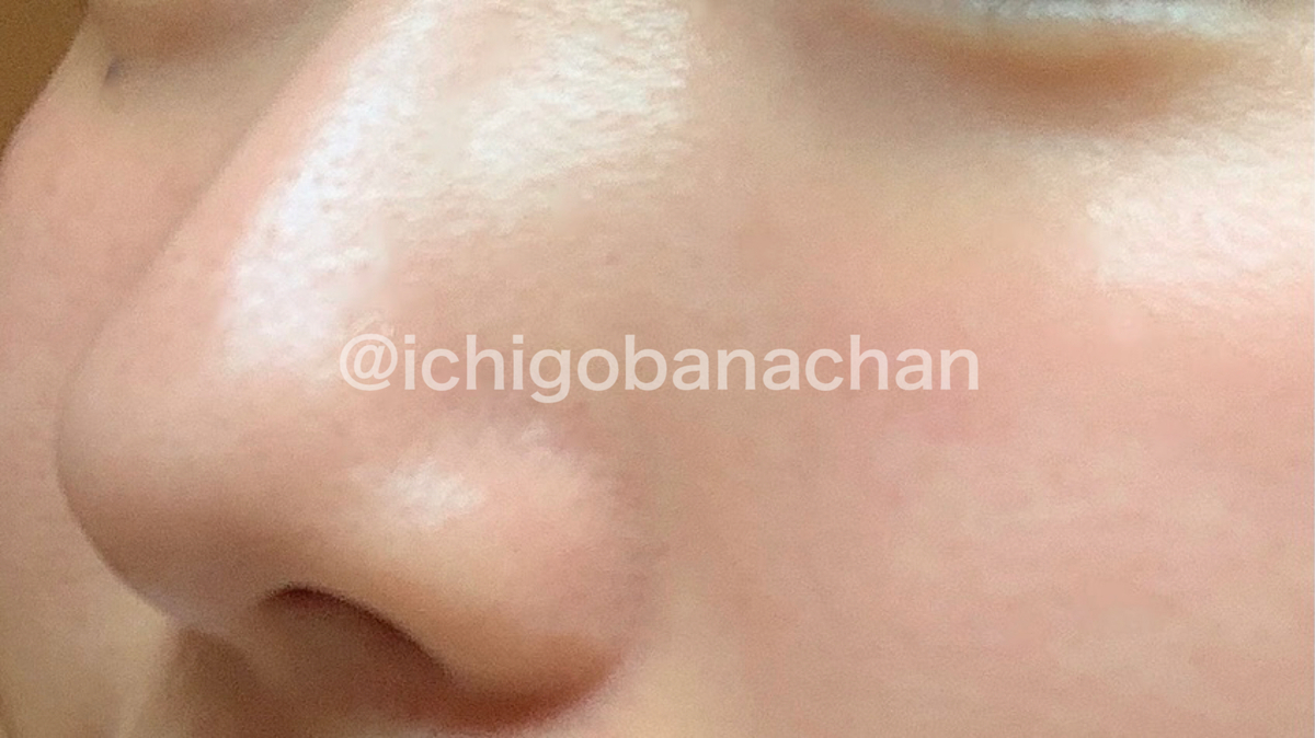 f:id:ichigobanachan:20210315233224j:plain