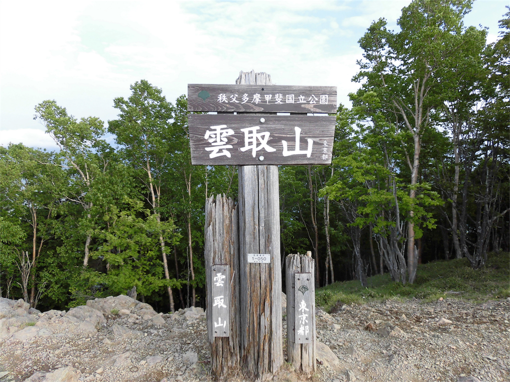 f:id:ichigokiwinassy:20170529212008p:image f:id:ichigokiwinassy:20170529212008p:image