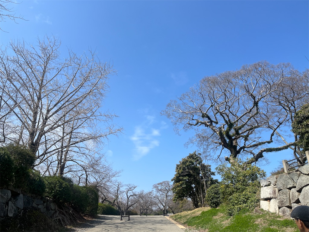 f:id:ichigomiwa:20260320145847j:image