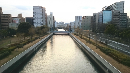 DSC_0079.jpg