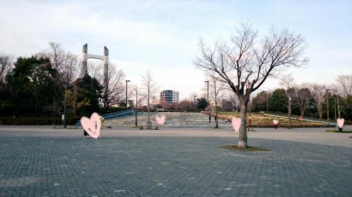 IMG_-te5pq5.jpg