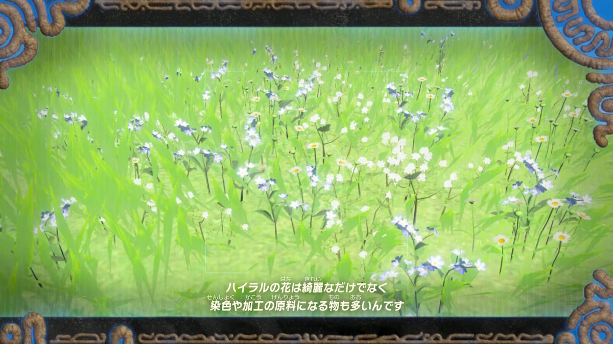 f:id:ichiharune:20200511164028j:plain