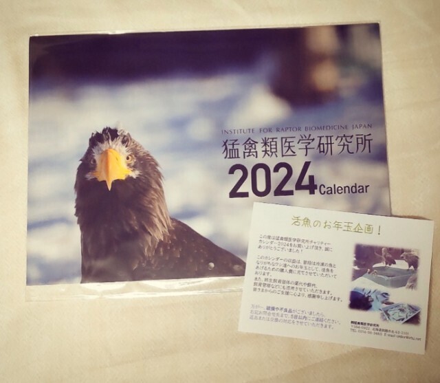f:id:ichiharune:20231109224906j:image f:id:ichiharune:20231109224906j:image