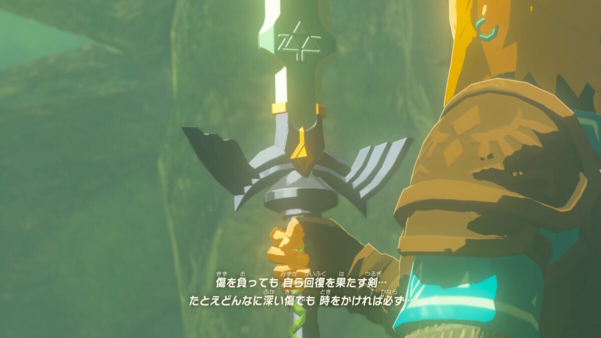 かデク様の専用ページ かデク様の専用ページ ティアキン】デクの樹サマは秘密のお部屋？の