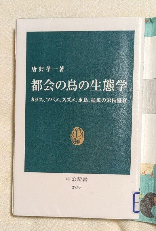 f:id:ichiharune:20260118172848j:image f:id:ichiharune:20260118172848j:image