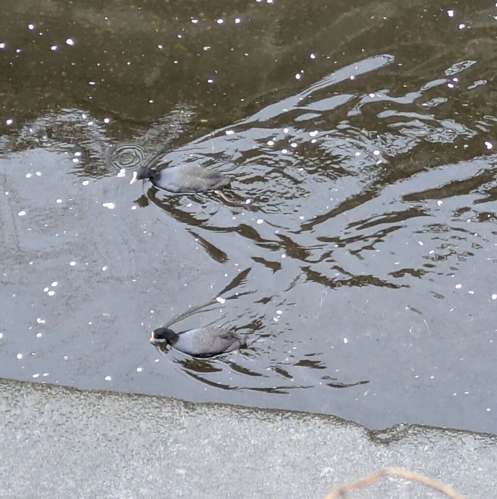 f:id:ichiharune:20260405222618j:image f:id:ichiharune:20260405222618j:image
