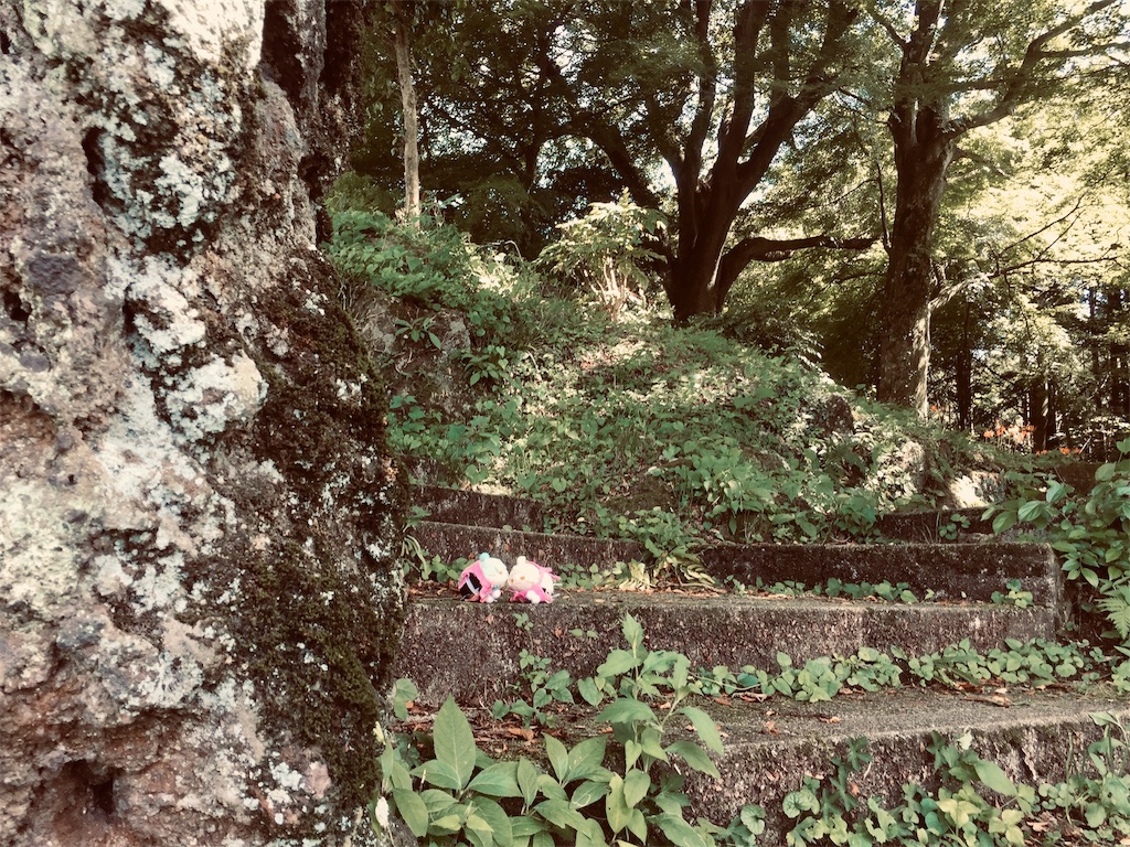 f:id:ichijiku0801:20190809235011j:image