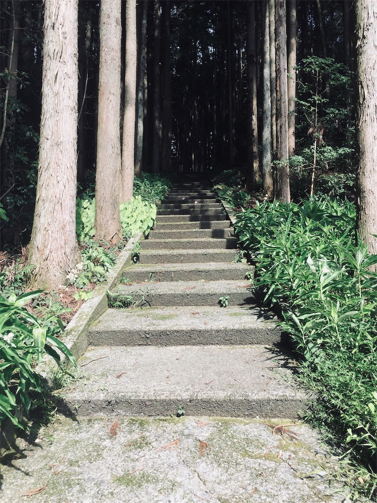 f:id:ichijiku0801:20190810004108j:image