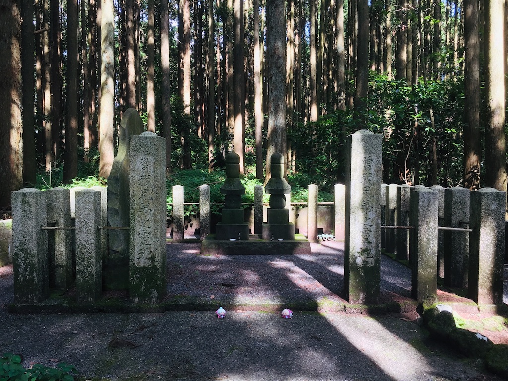f:id:ichijiku0801:20190810004224j:image