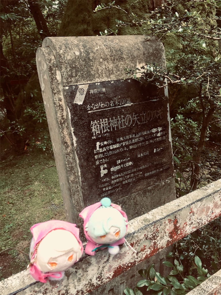 f:id:ichijiku0801:20190811004612j:image