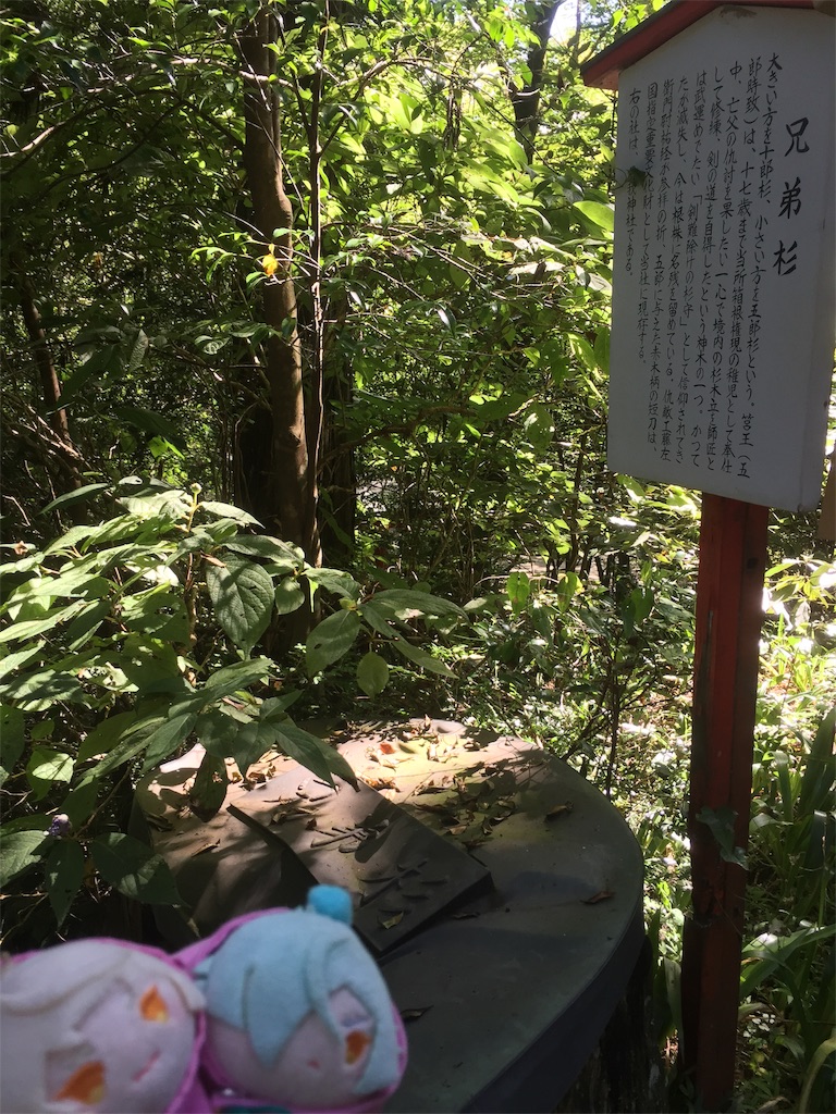 f:id:ichijiku0801:20190811100043j:image