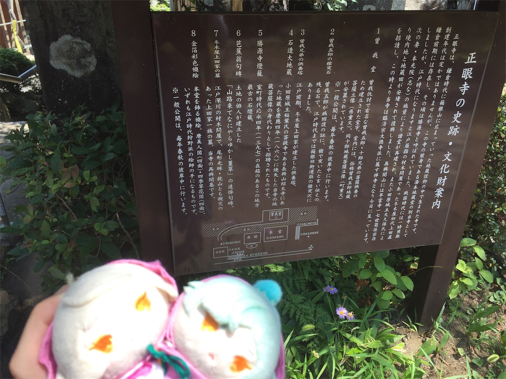f:id:ichijiku0801:20190820125905j:image