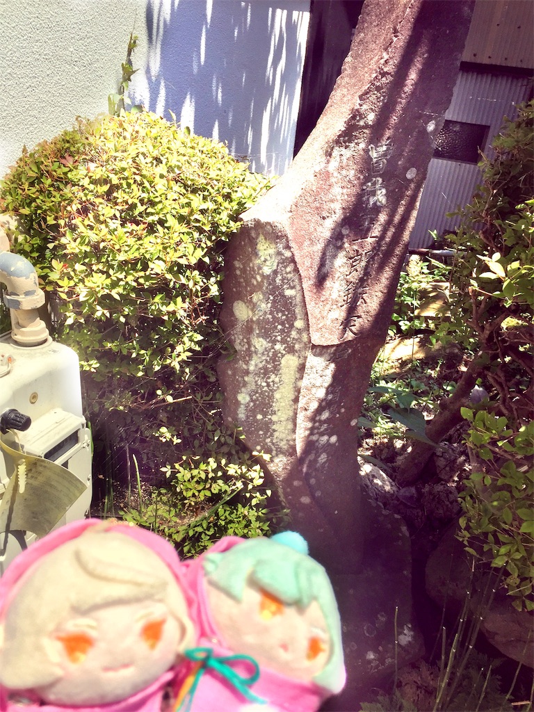 f:id:ichijiku0801:20190820133850j:image