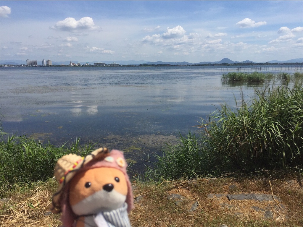 f:id:ichijiku0801:20190913114949j:image