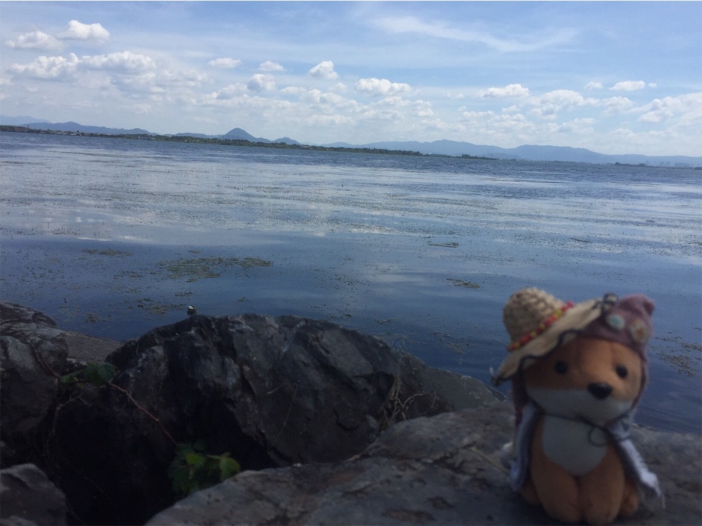 f:id:ichijiku0801:20190913115041j:image