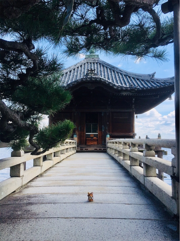 f:id:ichijiku0801:20190913115646j:image