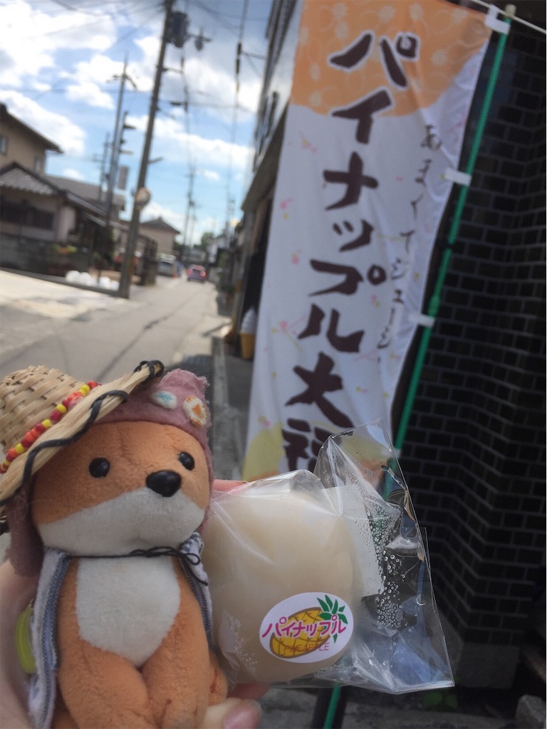 f:id:ichijiku0801:20190913120758j:image
