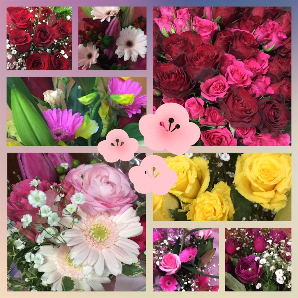 f:id:ichijiku27:20170321023108j:image f:id:ichijiku27:20170321023108j:image