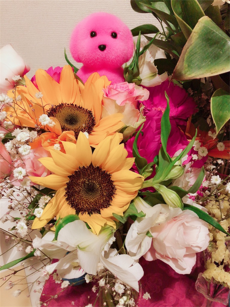 f:id:ichijiku27:20180510063631j:image f:id:ichijiku27:20180510063631j:image